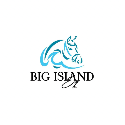 Big Island Eq Saddle Pad