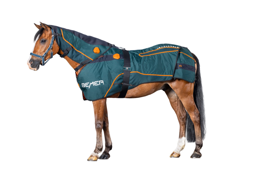 Bemer Horse Set | Blanket + Neck Piece