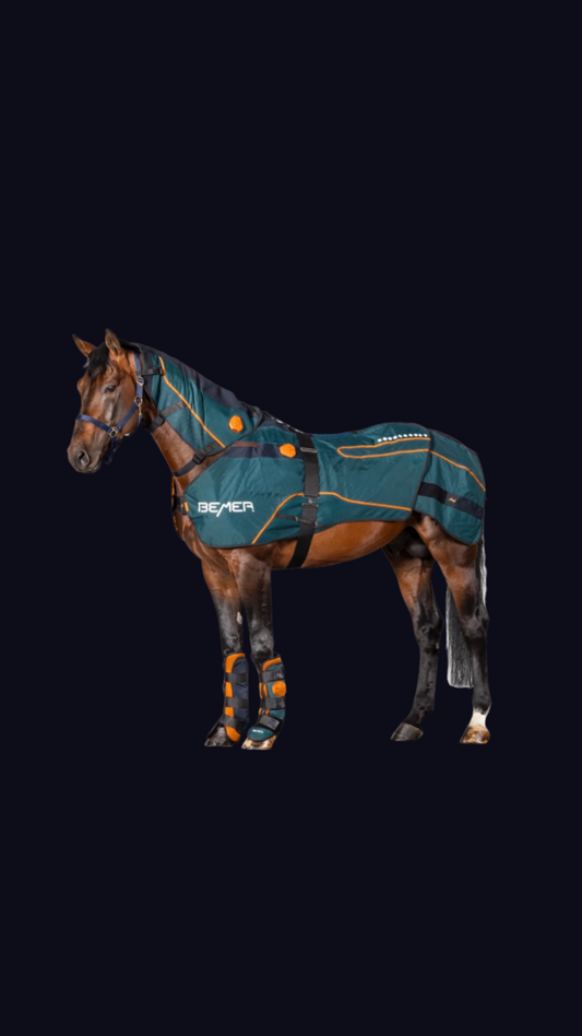 Bemer Horse Set