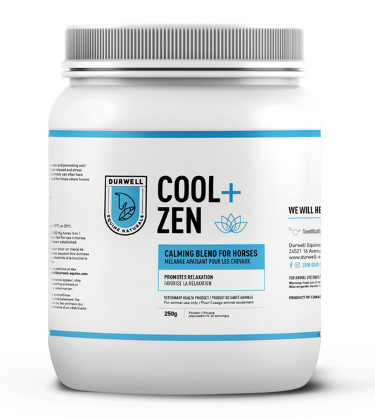 Cool + Zen